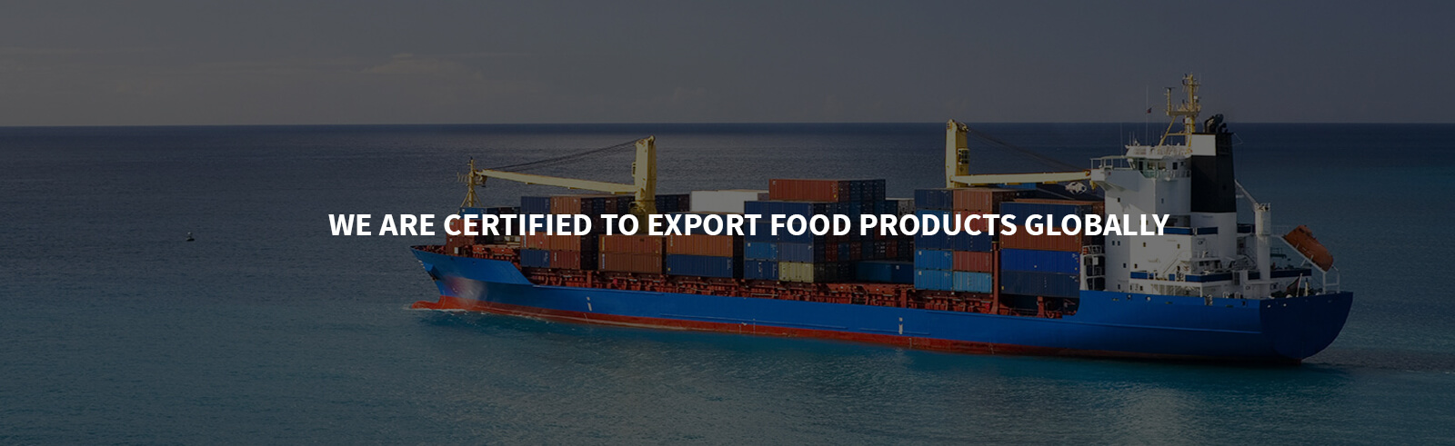 export business in india 