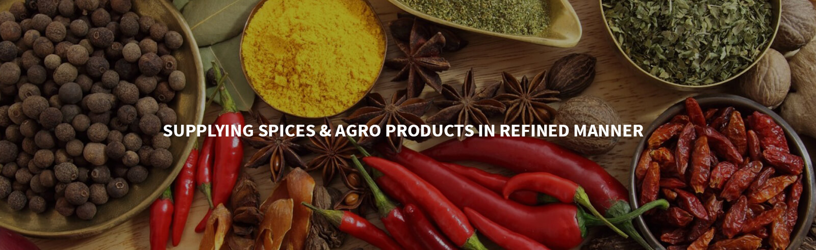 import export business in india 